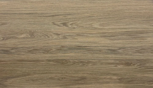 KP Camel Nord 23 x 120