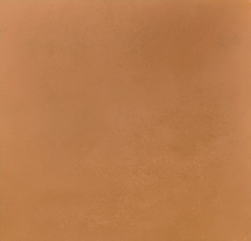 Energieker Res Terra Bruin Mat 60x60