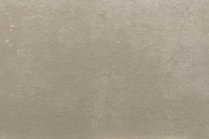 Danio Taupe 60x120 